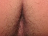 loup6